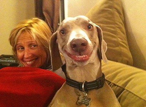 Почему животные становятся похожи на своих хозяев