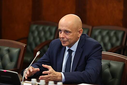В Госдуму внесен проект о досрочном прекращении полномочий депутата Сокола