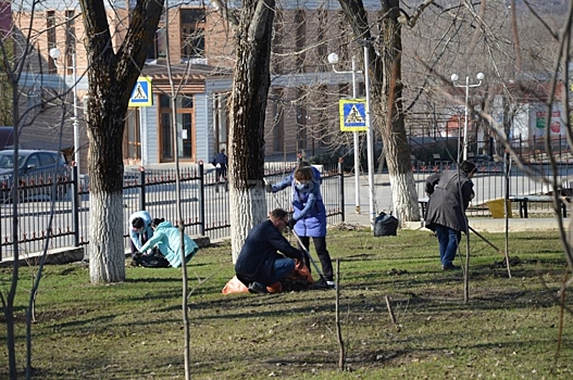 В Волгоградской области в Жирновске прошел субботник