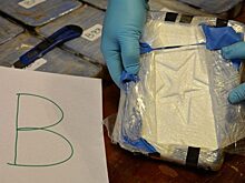Генпрокуратура РФ утвердила обвинительное заключение по делу о контрабанде кокаина из Аргентины