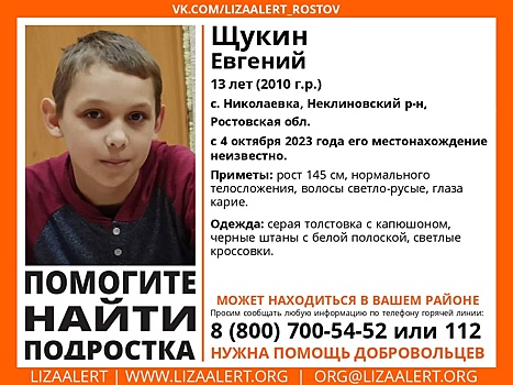 В Ростовской области пропал 13-летний мальчик