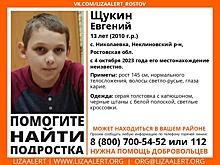 В Ростовской области пропал 13-летний мальчик