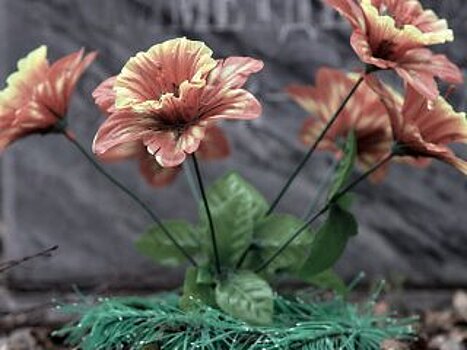 В Минздраве Башкирии раскрыли личность новых жертв коронавируса