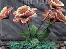 В Минздраве Башкирии раскрыли личность новых жертв коронавируса