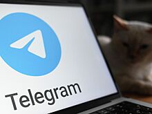 Адвокат объяснил, грозит ли уголовное дело за пользование Telegram