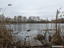 Природа не в почете: как в Уфе разрушаются уникальные места