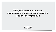 МВД объявило в розыск склонявшего российских детей к терактам украинца