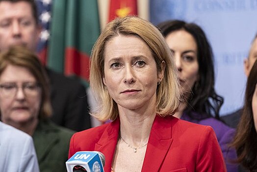 СК: Каллас заочно предъявлено обвинение в уничтожении советских памятников