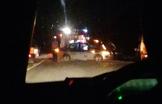 На Южном Урале из-за коровы произошло массовое ДТП