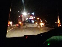 На Южном Урале из-за коровы произошло массовое ДТП