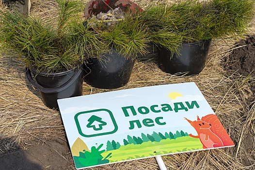 Омичам предлагают освоить "меч Колесова"