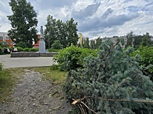 Вандалы разгромили сквер и Вечный огонь в центре Бора