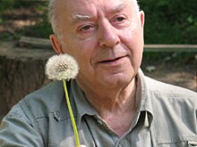 В Москве отметят 90 лет со дня рождения поэта Кирилла Ковальджи