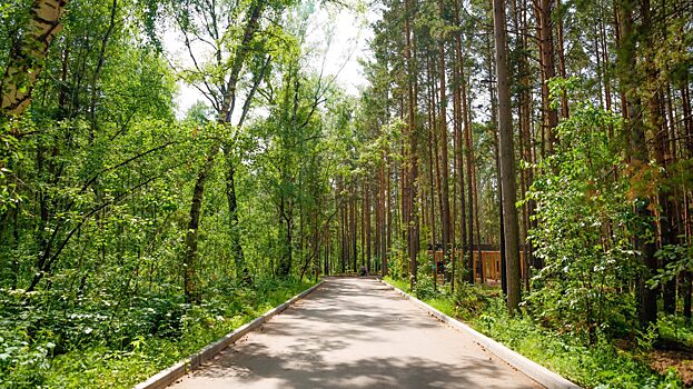 В Красноярске модернизируют эко-парк «Гремячая грива»