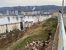 Для укрепления склона в красноярском Студгородке ищут подрядчика