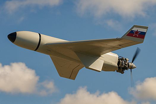 Стало известно, что Россия усилила «Герани» двойной боевой частью