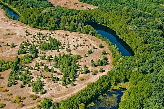 Для природных парков Волгоградской области создали общий экологический план