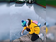 Туристка засняла "кисель" из медуз в зимнем Крыму