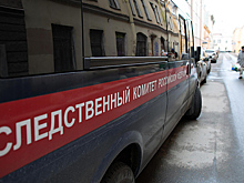 Две семейные пары россиян-сатанистов обвинили в ритуальных убийствах