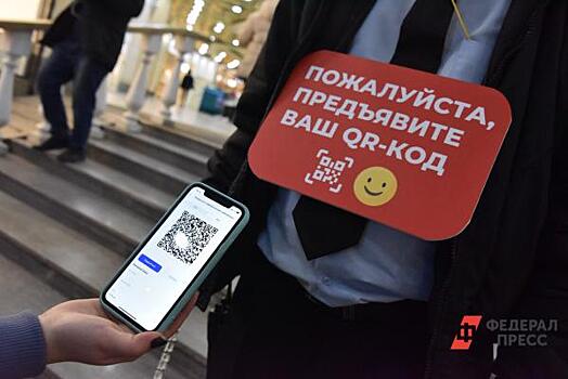 Названы регионы Юга, где понадобится QR-код в нерабочие дни