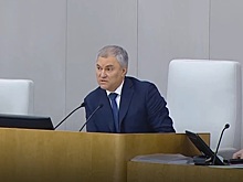 Вячеслав Володин уточнил свое заявление о запрете на выезд стоящим на воинском учете