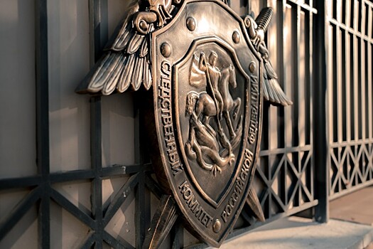 Несовершеннолетнюю жительницу Краснодара обвинили в пропаганде терроризма в сети