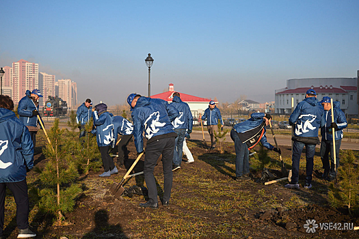 Кузбасские единороссы "обменяли" макулатуру на саженцы кедровой сосны в Кемерове и Новокузнецке