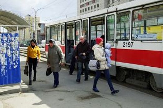 Из Петербурга в Стрельну запустят трамваи
