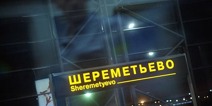 Туполев обошел Пушкина в рейтинге имен для аэропорта Шереметьево