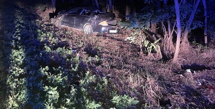 На Дону перевернулся автомобиль с тремя детьми