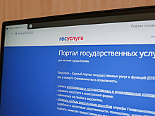 В России будут проверять актуальность привязанных к «Госуслугам» номеров телефонов