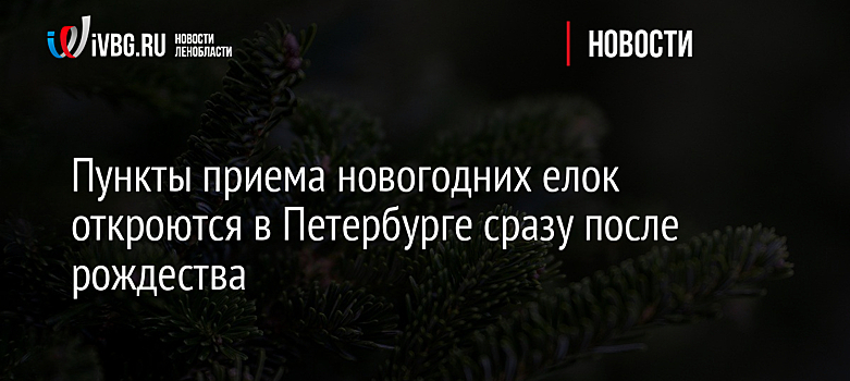 Пункты приема новогодних елок откроются в Петербурге сразу после рождества