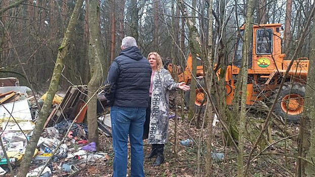 В Красноармейске ликвидировали несанкционированную свалку