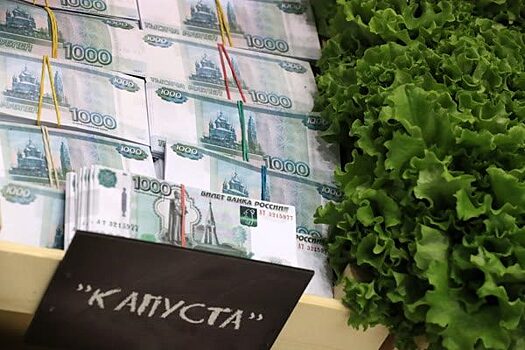 Приморцы тратят на услуги ЖКХ 36% от своих расходов