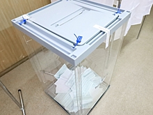 Депутатом Самарской думы хочет стать ранее судимый за изготовление порнографии кандидат