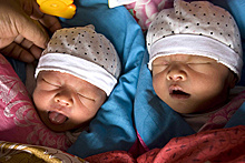 Объяснено рождение аномального количества близнецов в США