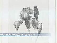 На экспозиции &laquo;Серебро&raquo; в выставочном зале Союза художников представлено 40 авторов и 100 картин