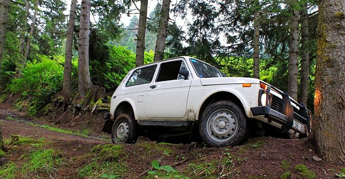 Что делать, если застрял на машине в лесу?