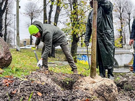 Антон Алиханов высадил 10 деревьев на Верхнем озере