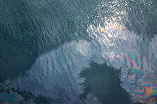 WWF обвинил «Лукойл» в замалчивании последствий нефтеразлива в Коми: Новости ➕1, 17.06.2021