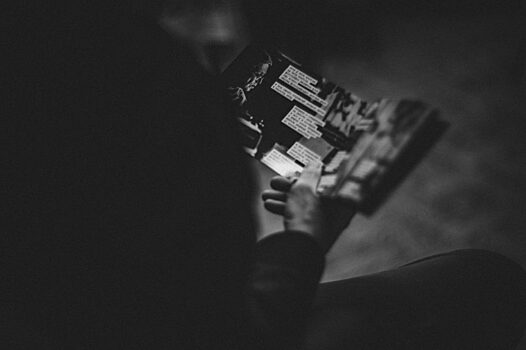 Заготовка «Снега» зимой при помощи «зин»