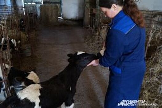 Как свое вырастить? Преподаватель – о мелких фермерах и домашнем мясе