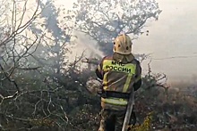 Площадь лесного пожара в Геленджике достигла 30 гектаров