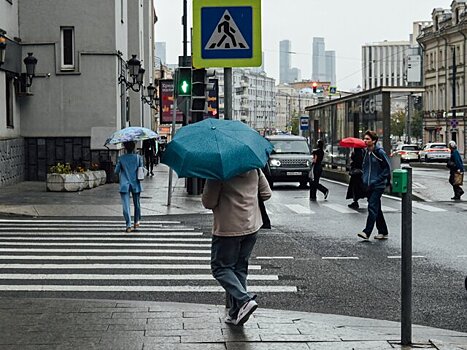 До 16 градусов тепла и кратковременные дожди ожидаются в Москве 5 мая