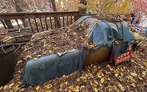 Энтузиаст разыскал Porsche 911 1970 года, 31 год хранившийся под открытым небом