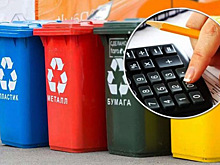 Владимирцам начнут платить за раздельный сбор мусора
