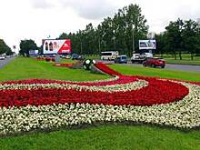 Более 8 млн цветов высадят в Петербурге к ЧМ-2018 по футболу