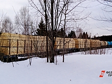 В СК оценили версию побега семьи Усольцевых с ребенком за границу