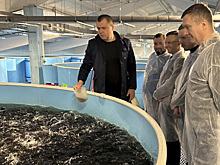 На малька есть спрос