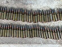 На Дону полицейские изъяли 84 патрона, незаконно хранившиеся у 54-летнего мужчины